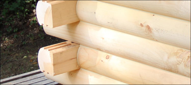 Log Home Damage Repair  Grays Knob, Kentucky