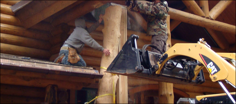 Log Home Log Replacement  Grays Knob, Kentucky